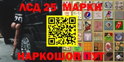 PSILOCYBIN Заводоуковск