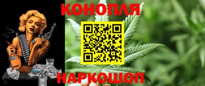 индика Заволжье