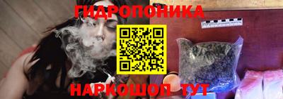 индика Заволжье