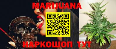 индика Заволжье