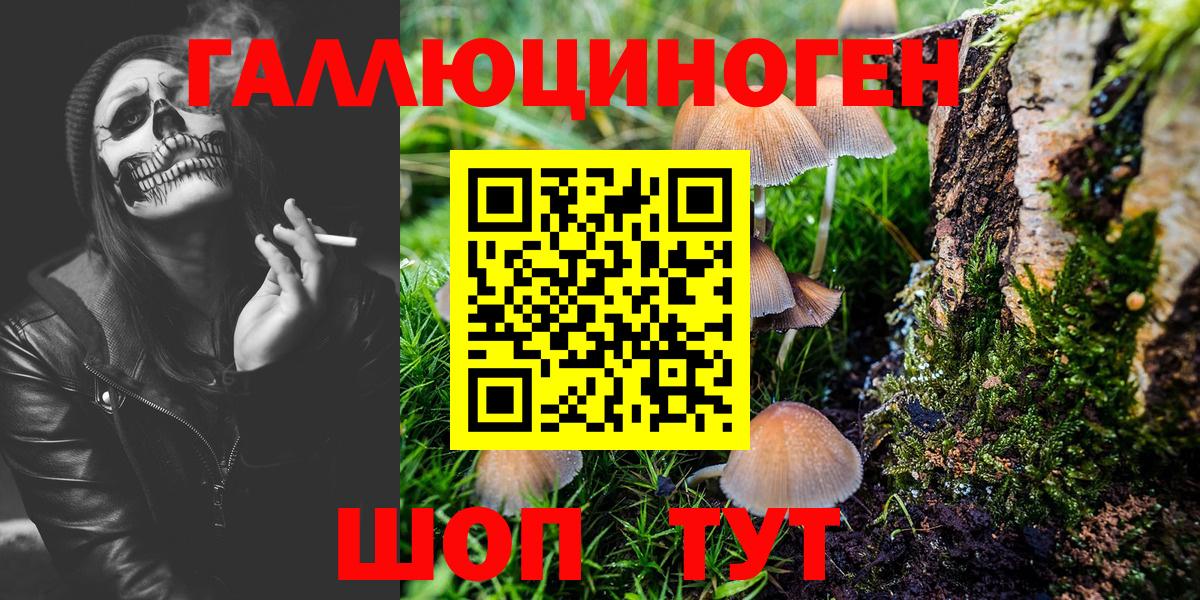 Красноярск  Псилоцибиновые грибы ЛСД  Псилоцибиновые грибы Psilocybe  Вход с VPN 