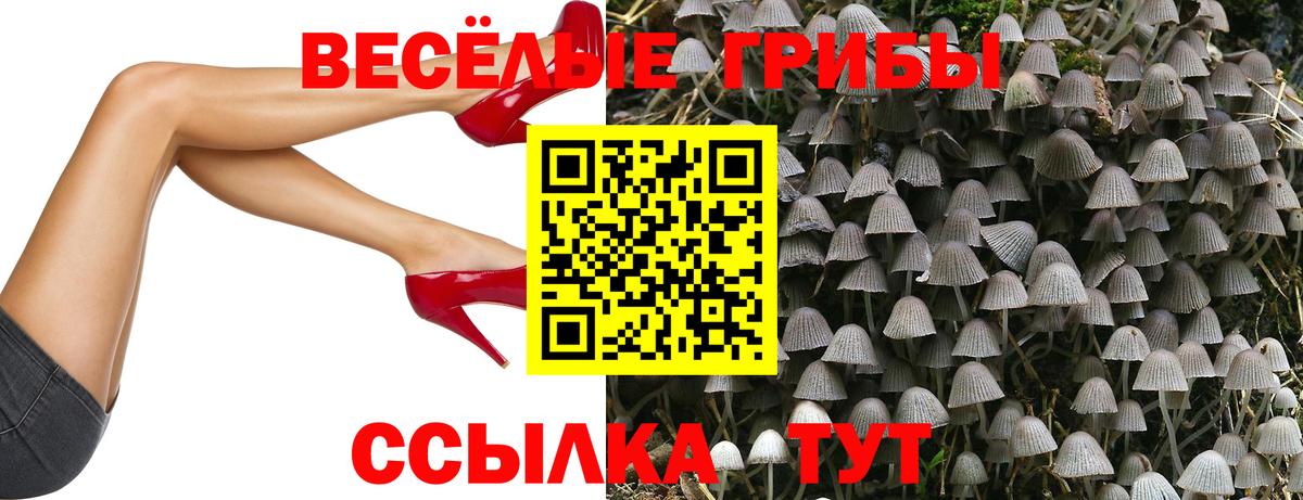 Псилоцибиновые грибы Cubensis Красноярск